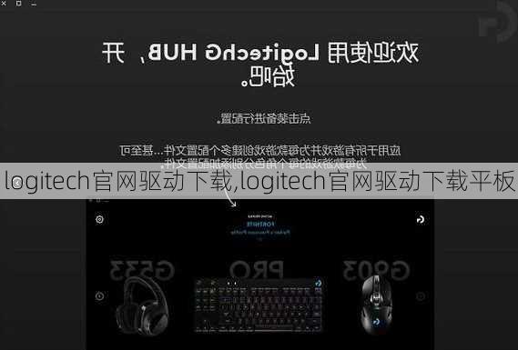 logitech官网驱动下载,logitech官网驱动下载平板