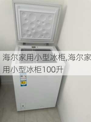 海尔家用小型冰柜,海尔家用小型冰柜100升