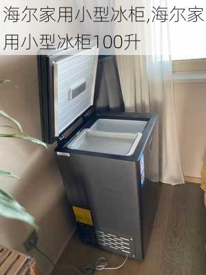 海尔家用小型冰柜,海尔家用小型冰柜100升