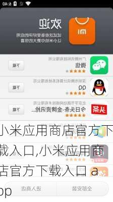 小米应用商店官方下载入口,小米应用商店官方下载入口 app