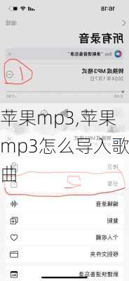 苹果mp3,苹果mp3怎么导入歌曲