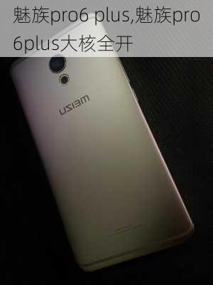 魅族pro6 plus,魅族pro6plus大核全开