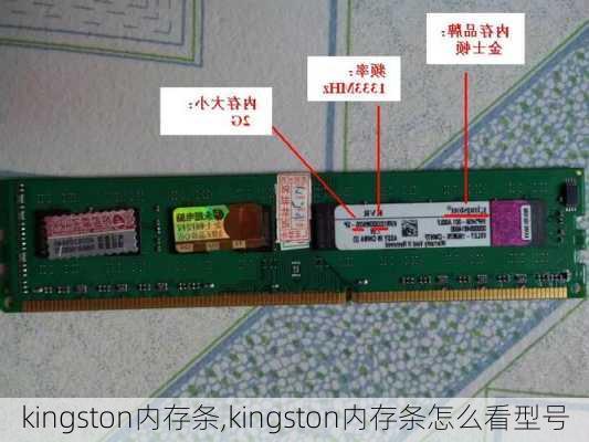 kingston内存条,kingston内存条怎么看型号