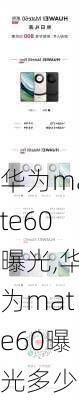 华为mate60曝光,华为mate60曝光多少钱