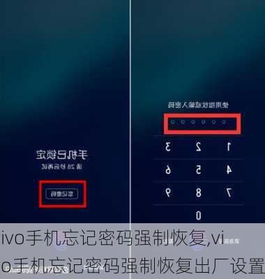 vivo手机忘记密码强制恢复,vivo手机忘记密码强制恢复出厂设置