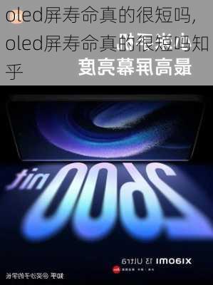 oled屏寿命真的很短吗,oled屏寿命真的很短吗知乎