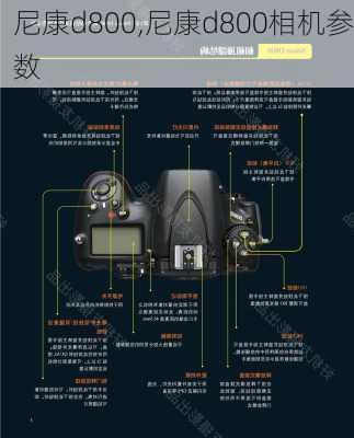 尼康d800,尼康d800相机参数