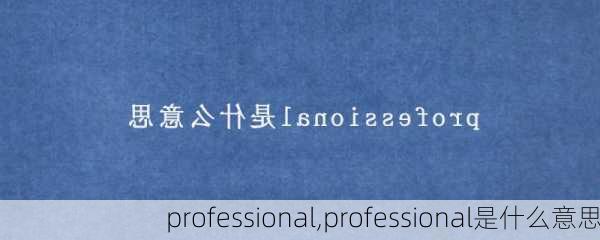 professional,professional是什么意思